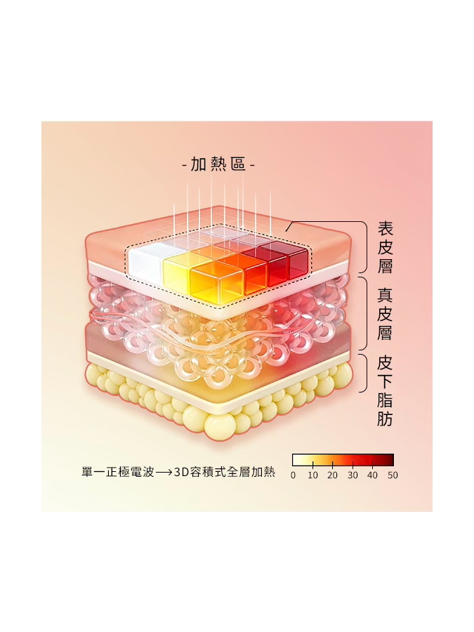 鳳凰電波是什麼？重拾青春的電波魔法