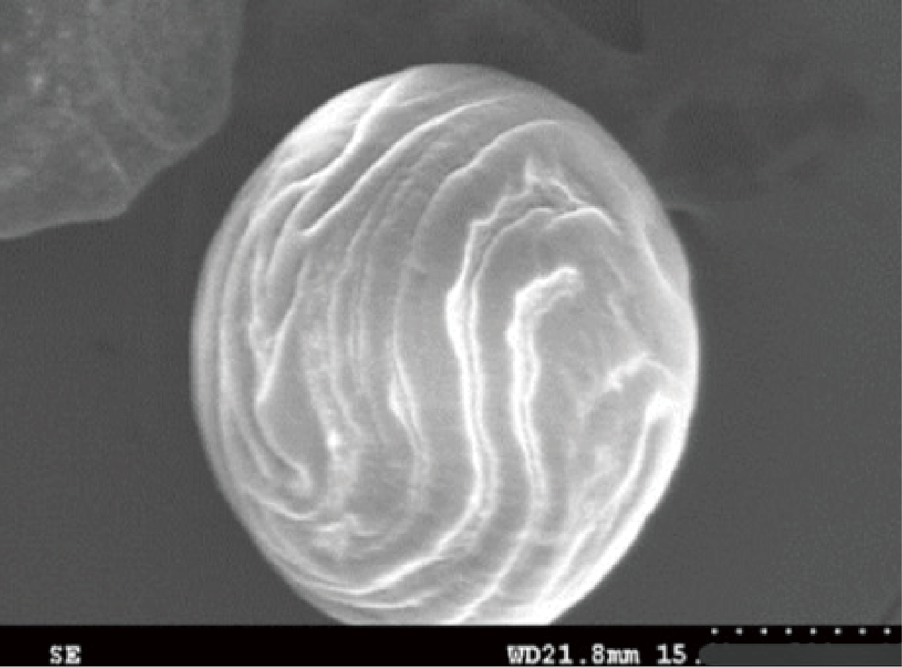 獨家專利「水波紋球體」 獨家專利「水波紋球體」