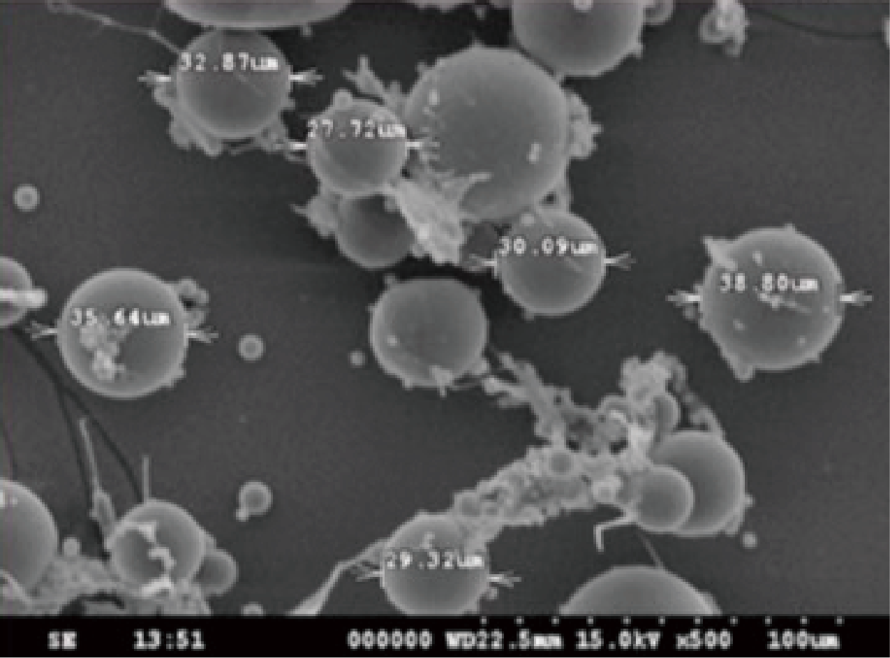 2. 低結節風險,顆粒極致細化 2. 低結節風險,顆粒極致細化