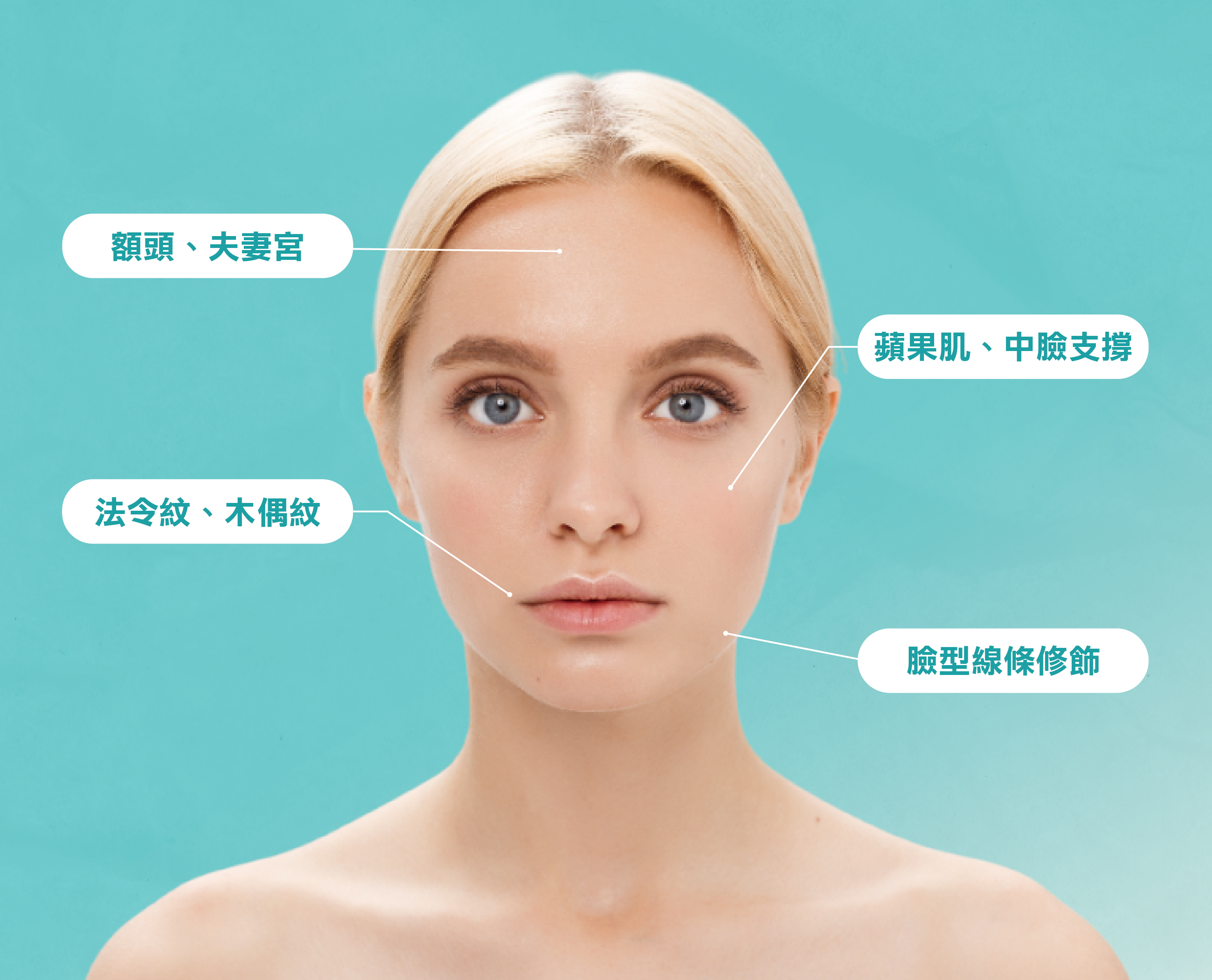 它廣泛應用於：