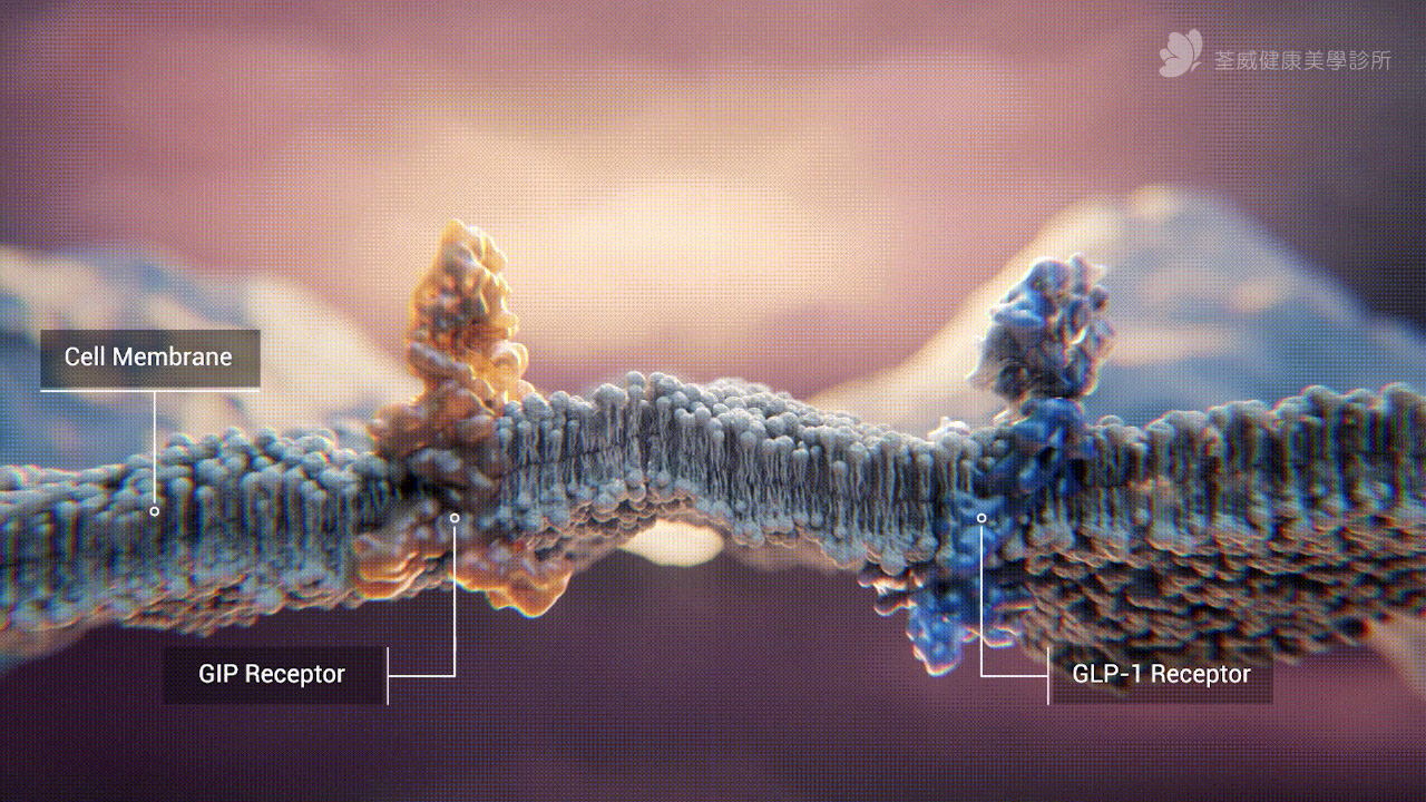 猛健樂 (Mounjaro) 副作用多嗎？網路常見 5 大 QA 整理，荃威診所教你如何「瘦得健康不顯老」｜2026 深度醫師級解析