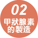 甲狀腺素的製造