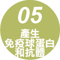 產生免疫球蛋白和抗體