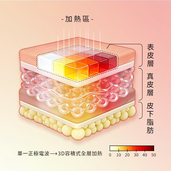 鳳凰電波是什麼？重拾青春的電波魔法