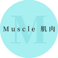 1. M - Muscle 肌肉：肌動減脂，提升代謝的引擎