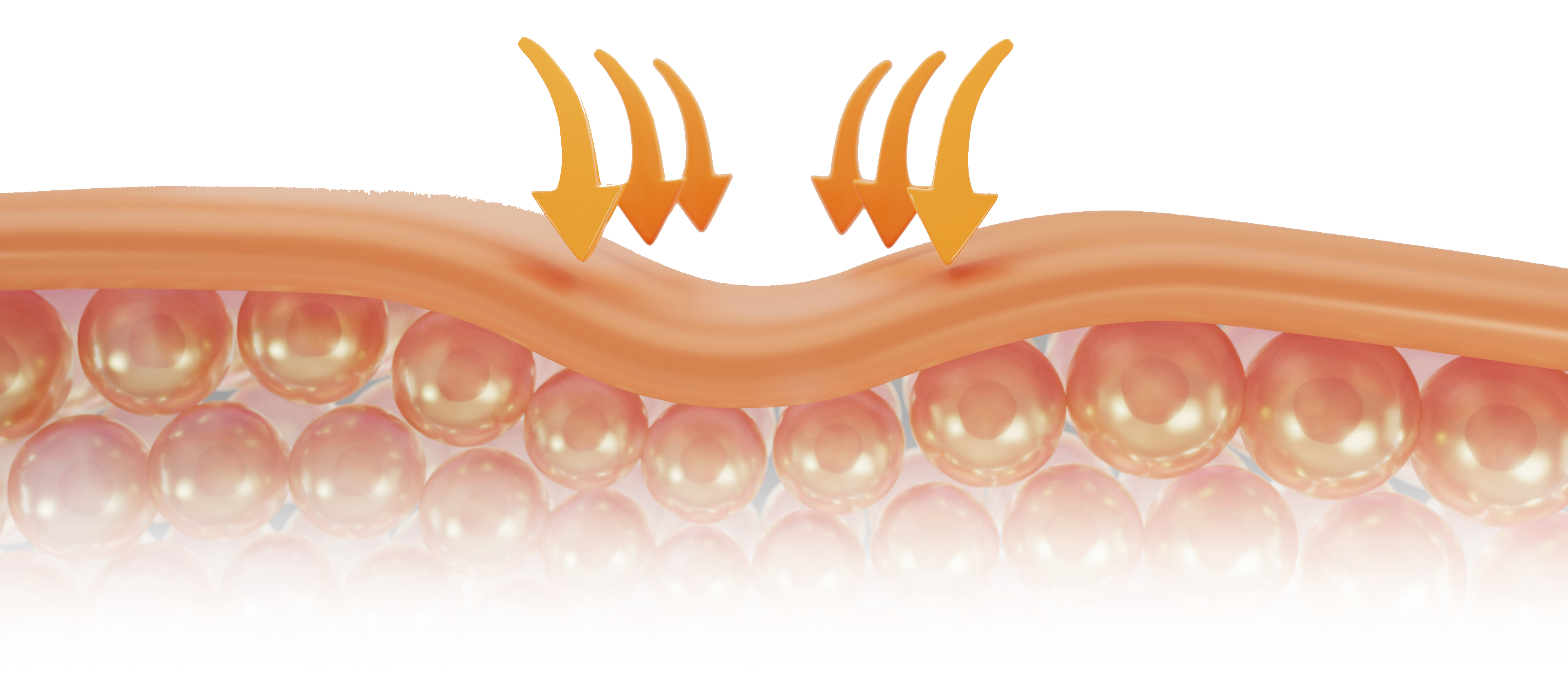解密 PRP：為什麼血小板能成為「肌膚賦活」的關鍵？