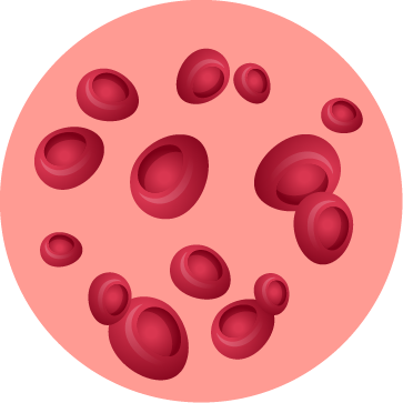 PRP 之所以有效：生長因子家族扮演的關鍵角色