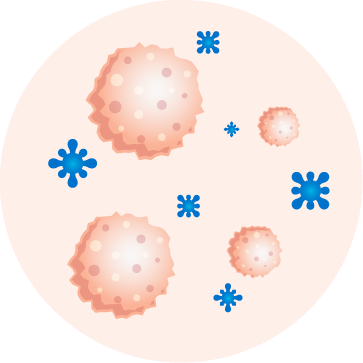 PRP 之所以有效：生長因子家族扮演的關鍵角色