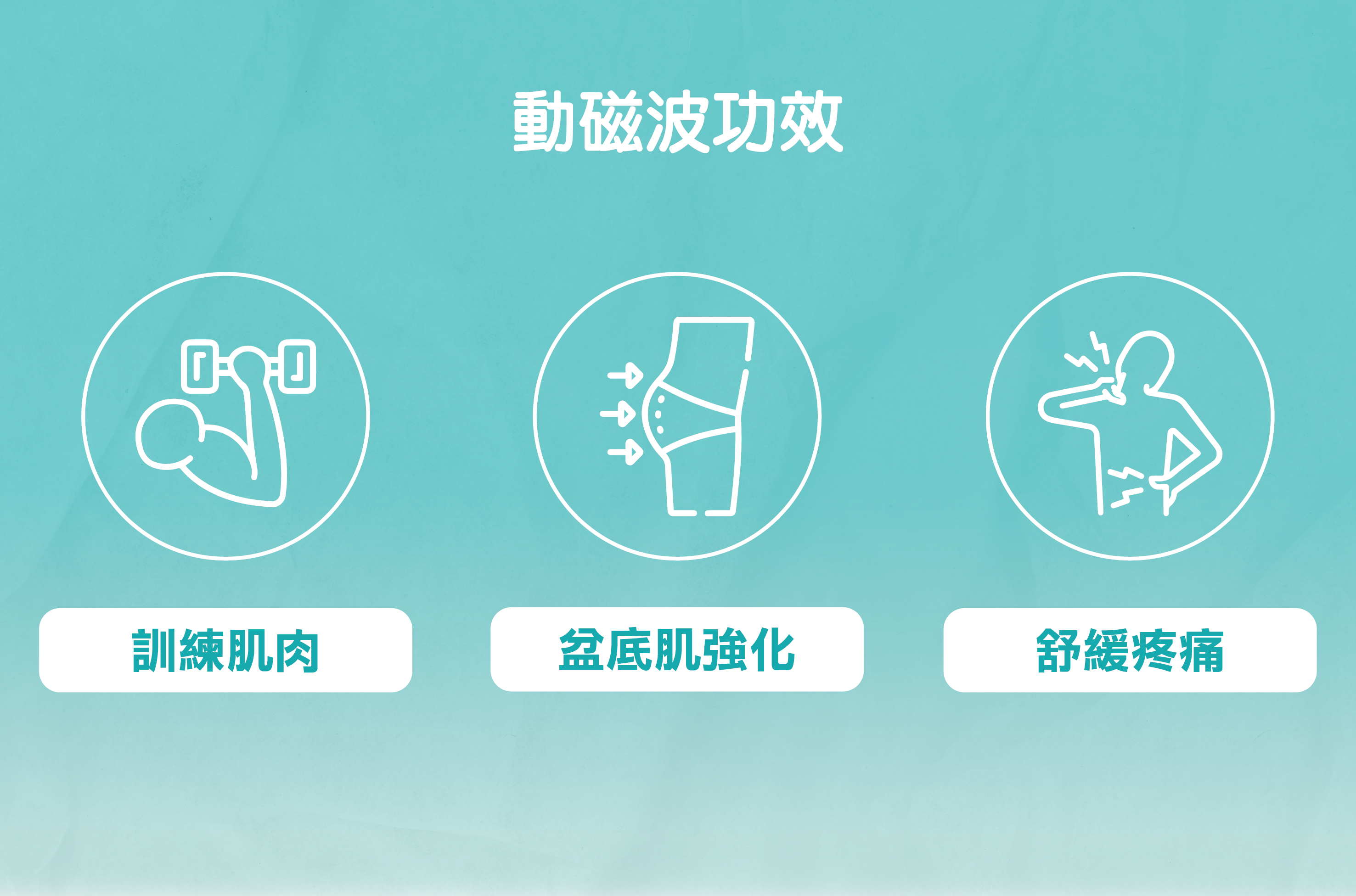 Talent A動磁波的功效