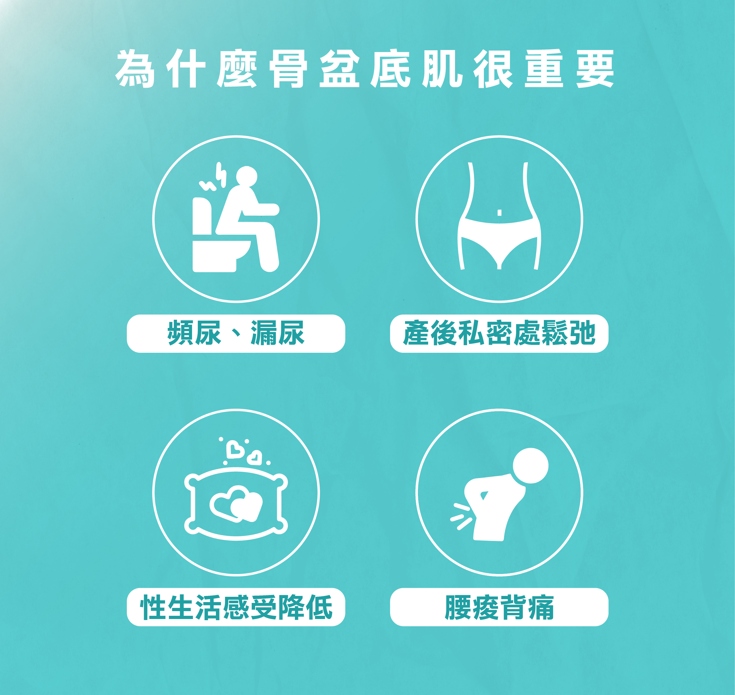 為什麼骨盆底肌很重要? 為什麼骨盆底肌很重要?