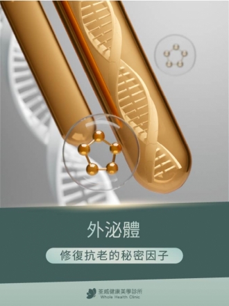 外泌體是什麼？解密醫美界修復抗老的秘密因子